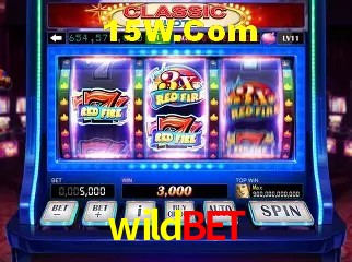 Descubra a Essência do wildbet: Nossa História e Compromissos