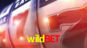 Experimente o Login Seguro Premium no wildbet
